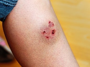 untitled design (19)